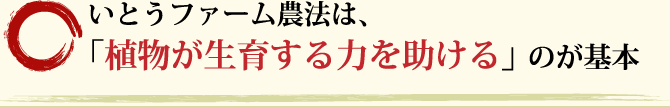 いとうファーム農法は、「植物が生育する力を助ける」のが基本