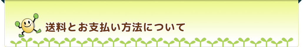 送料とお支払い方法について