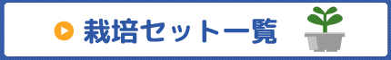 栽培セット一覧