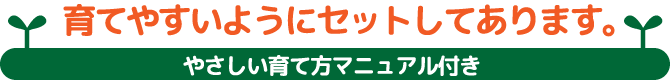 育てやすいようにセットしてあります。