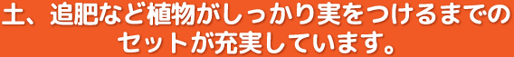 土、追肥など植物がしっかり実をつけるまでのセットが充実しています。