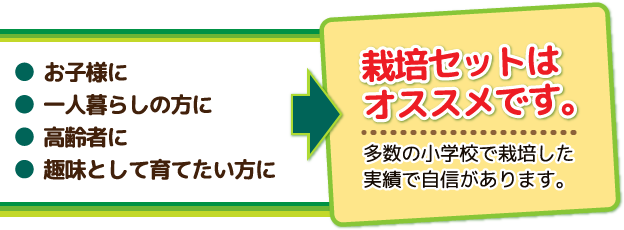 栽培セットはオススメです。多数の小学校で栽培した実績で自信があります。